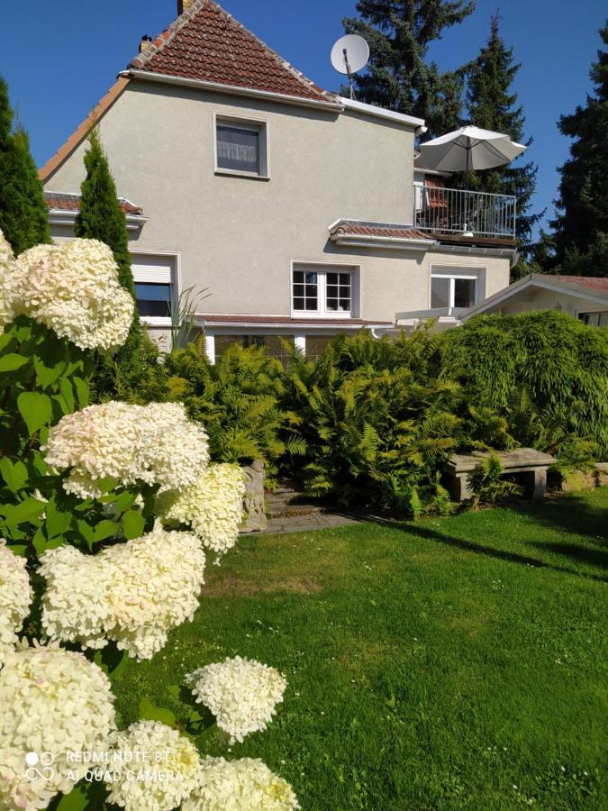 Kreativ Ferienwohnung Domizil Der Sinne Bad Liebenwerda Exteriér fotografie