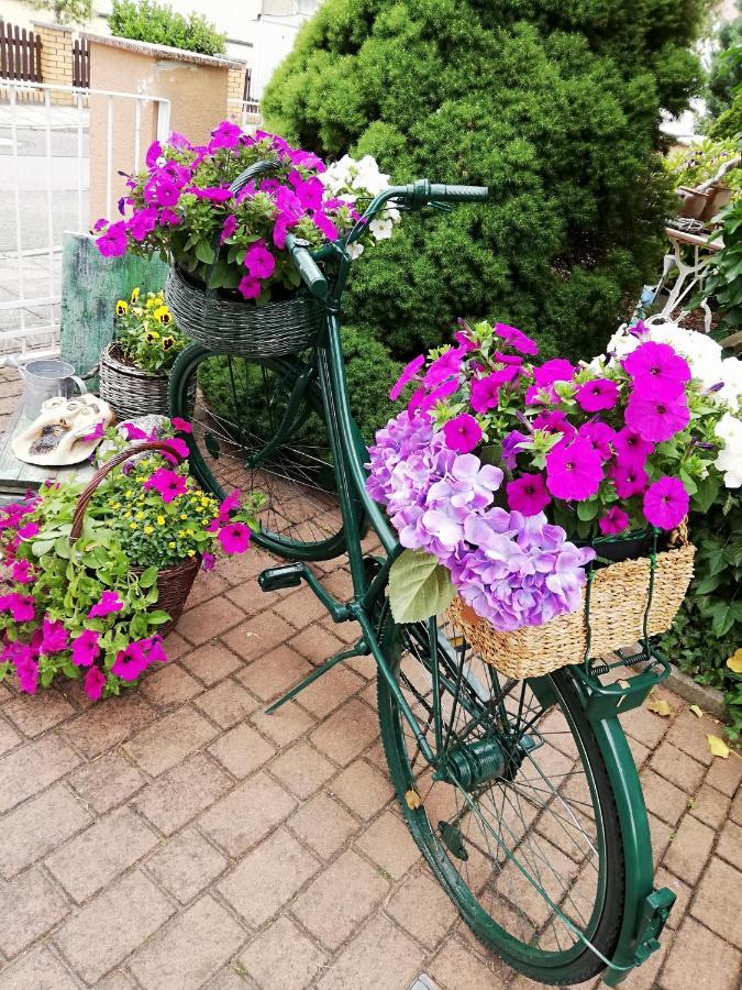 Kreativ Ferienwohnung Domizil Der Sinne Bad Liebenwerda Exteriér fotografie